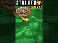 ☢️ YES! NVG Makes STALKER 2 Better 😍 Patch 1.6 #Shorts #Stalker2 #gameplay
