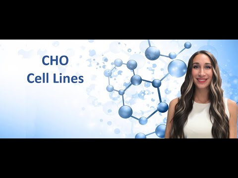 CHO Cell Lines