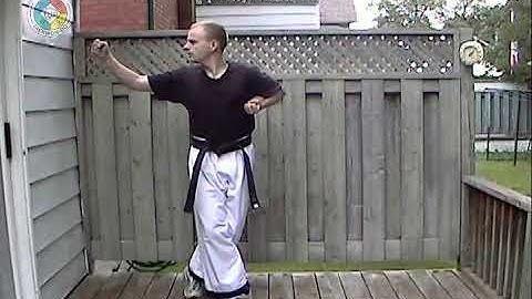 Taekwondo: Hapkido: Foundations: Jumping back-fist side strike (side view)