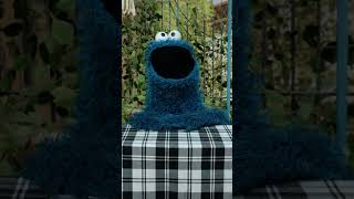 What Type Of Cookies Did Cookie Monster Buy? #Sesamestreet