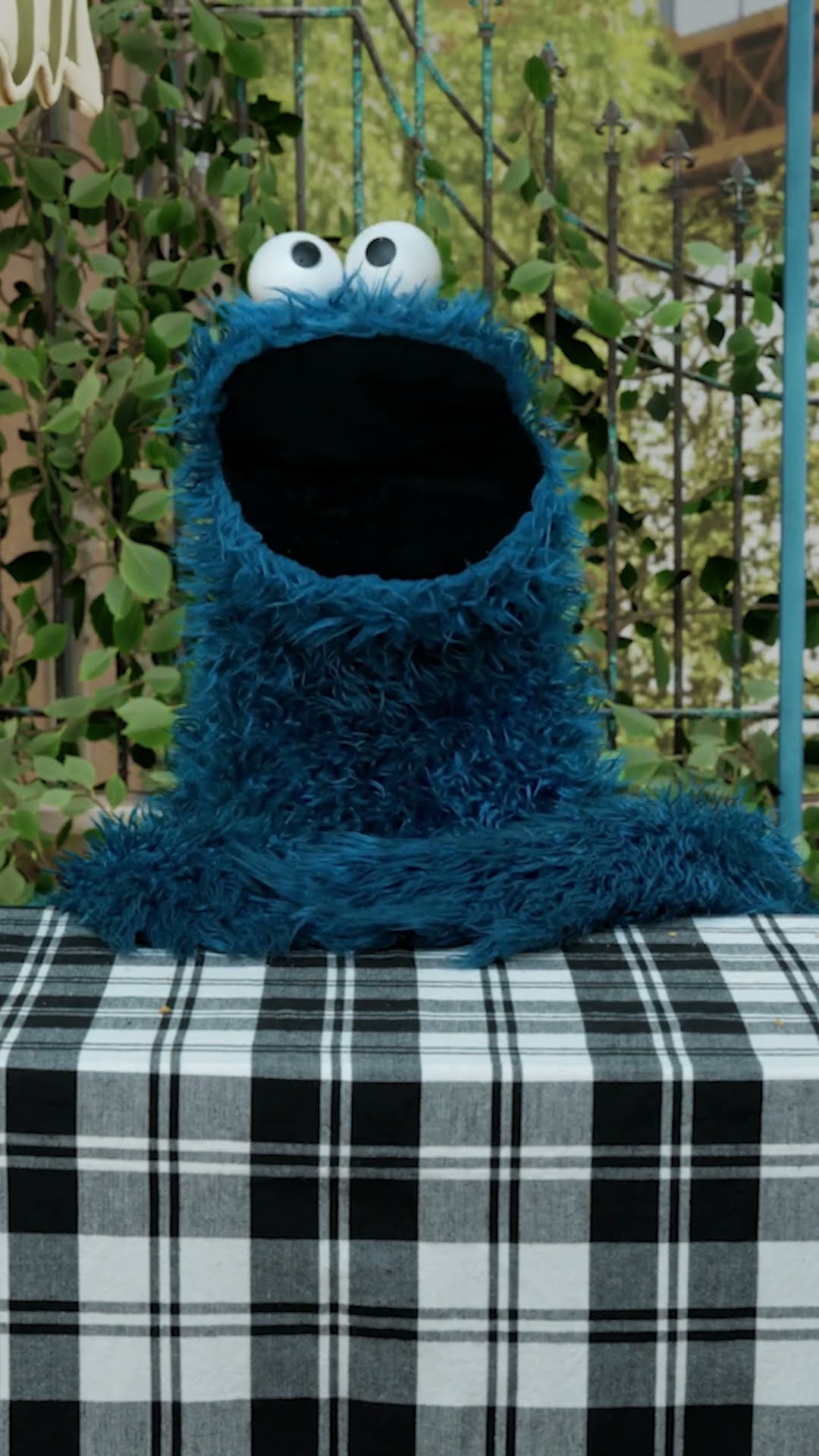 What Type of Cookies Did Cookie Monster Buy? #sesamestreet