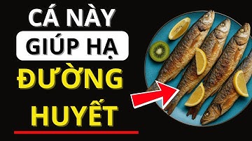 4 Loại Cá Mà Người Bị Tiểu Đường Nên Ăn! Giúp Ổn Định Đường Huyết Hiệu Quả