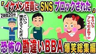 【2chスカッと】恐怖の勘違いBBA爆笑スカッと7選【作業用】【伝説のスレ】