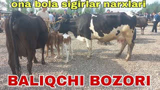 BALIQCHI CHORVA MOL BOZORI ONA BOLA SUTI KOP SIGIRLAR NATXLARI апреля 2024 г.