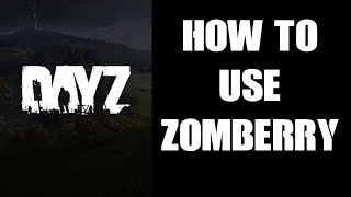 Beginners Guide Introduction: How To Use Zomberry Admin Tools On Your DayZ Server, Menus &  Commands