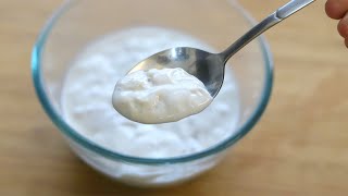 How To Make Coconut Yogurt At Home  Homemade Coconut Milk Curd   Dairy Free Curd | Skinny Recipes