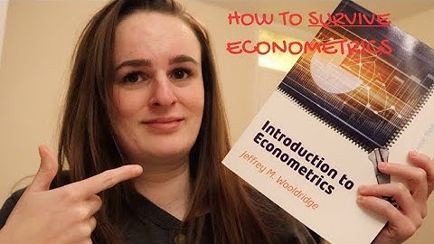 HOW TO SURVIVE ECONOMETRICS! | The struggle is real