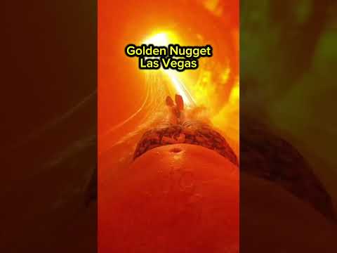 POV Shark Tank Slide at the Golden Nugget Las Vegas 馃