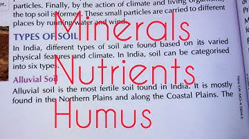 Class 4 Social Science Chapter 5 Soil Part 1