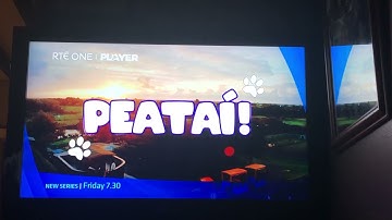 The secret life of pets RTÉ one intro (reupload)