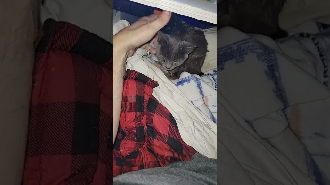 Awesome Baby Zooma wants to play this morning