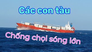 Vlog#23 Cảnh các con tàu vượt sóng lớn , tại khu vực biển dữ .