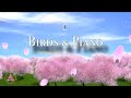 Relaxing birds singing with soothing piano music no ads