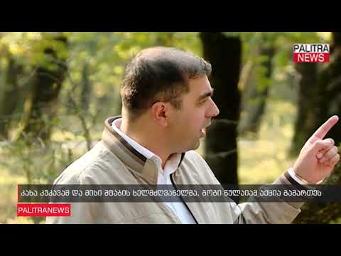 კახა კუკავამ და მისი შტაბის ხელმძღვანელმა, გოგი წულაიამ აქცია გამართეს