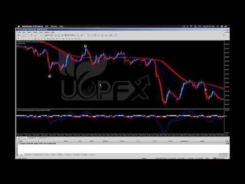 UOP FX Forex Hybrid Trading System Quick Training w/ Reginald Stinson