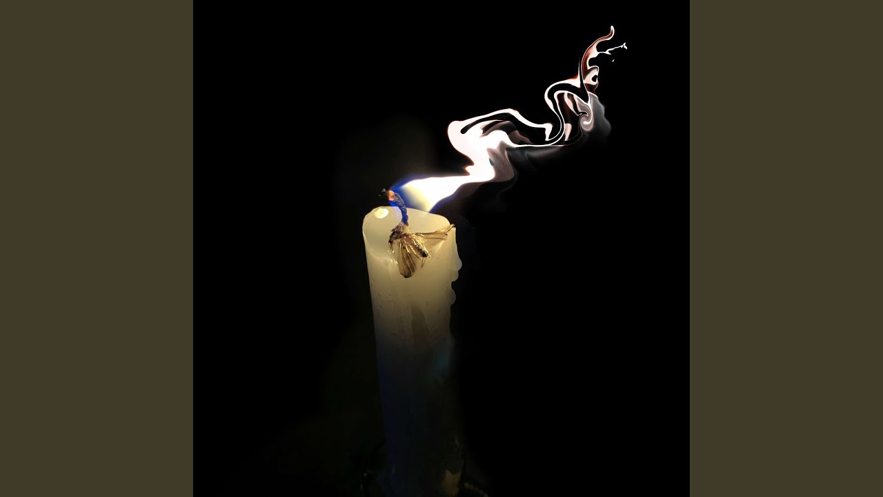 plants can sing too YouTube