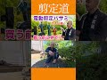 《これ知ってる？》電動剪定鋏も大きな違い　買う前にチェック！！ #剪定方法 #庭作業 #庭木の管理 #剪定鋏 #道具選び #電動剪定鋏 #作業効率