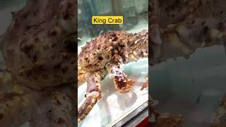 King crab shorts China India