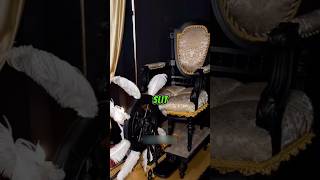 The Most Comfortable Chair of Its Time 😳 #viral #shortsfeed #trending #shortsfeed #satisfying