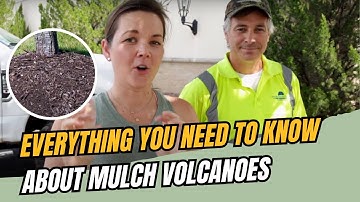 Picking an arborists Brain | Catherine Arensberg with Chris Francis