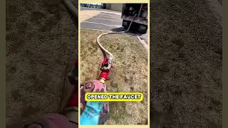 Hij opende de tank en raakte helemaal in paniek! 😱💦