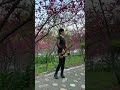 通り雨 陣雨 薩克斯風 sax fen fen
