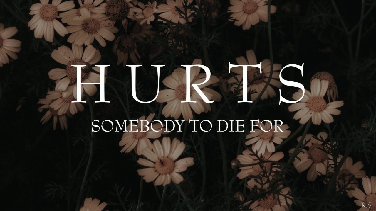 If somebody hurts you i wanna