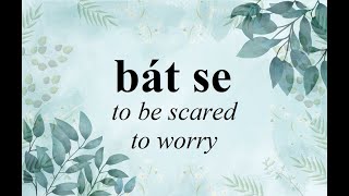 Bát se / Learn Czech verbs with conjugation (past, present and future tense)