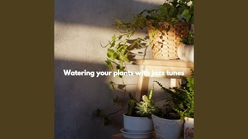 Modern Backdrops for Brave Keynotes