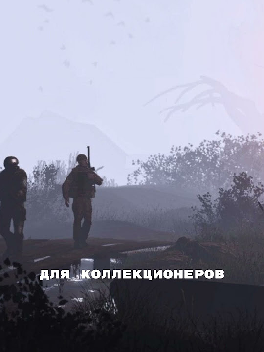 ☢️Вспышка в S.T.A.L.K.E.R.☢️ #сталкер #gaming #stalker2 #stalker - YouTube