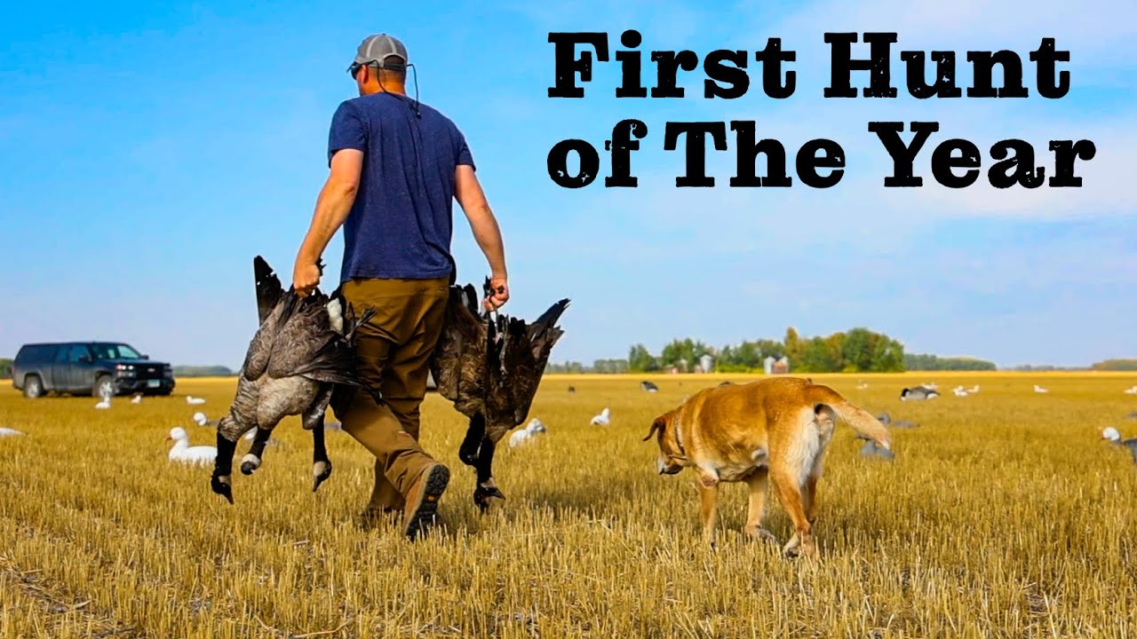 Our First Goose Hunt of the Year! (NEW GOOSE RECIPE)