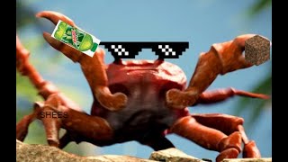 Minecraft Crab Rave