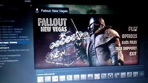 Fallout New Vegas Launcher loop (help pls)