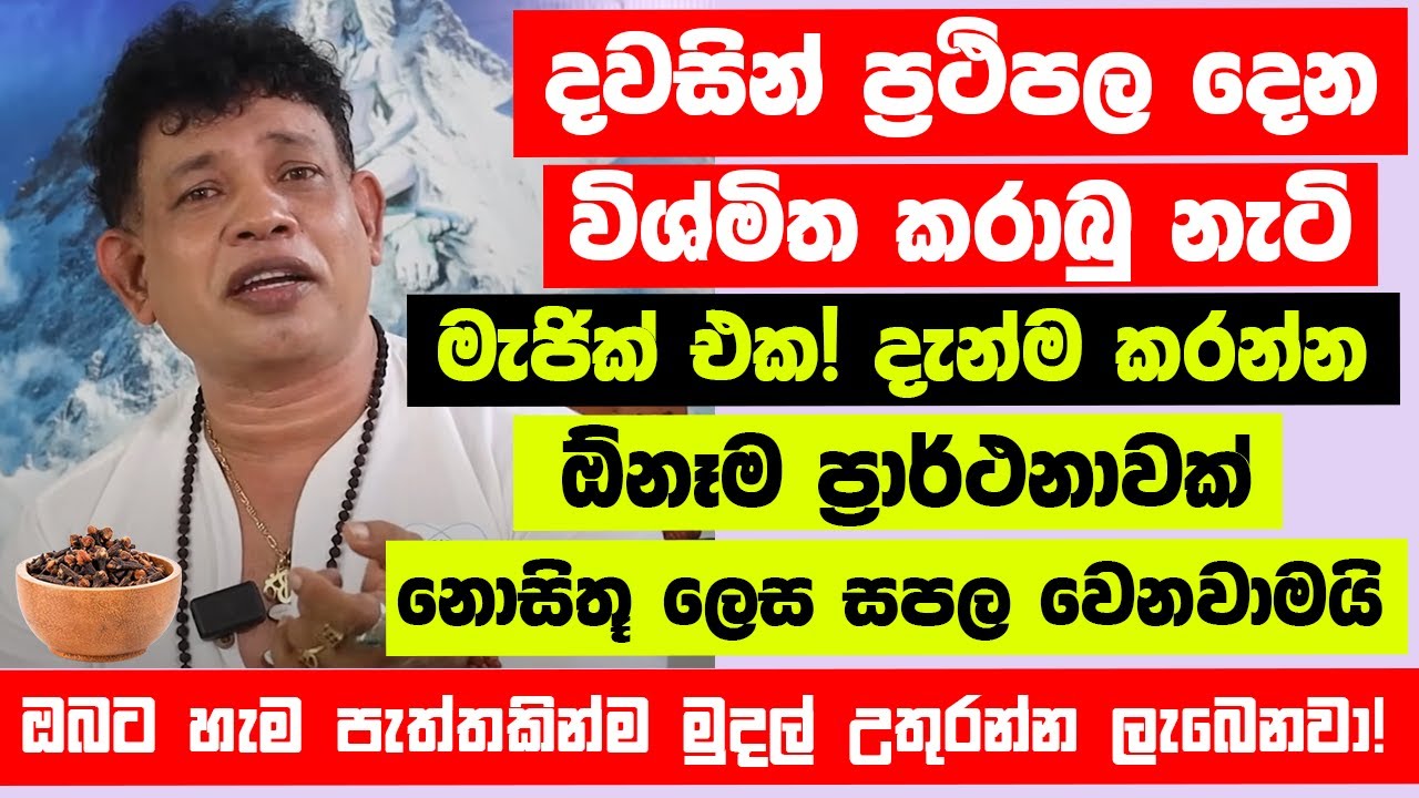 දවසින් ප්‍රථිපල දෙන විශ්මිත කරාබු නැටි මැජික් එක - ඕනෑම ප්‍රාර්ථනාවක් සපල වෙනවාමයි 🙏 මුදල් උතුරනවා