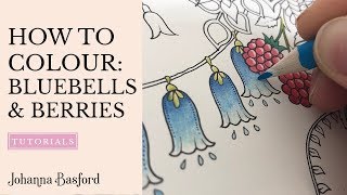 Colouring Tutorial : How to Colour Bluebells & Berries