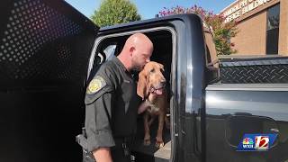 K9 Red retires from Randolph County Sheriff s Office