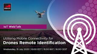 IoT WebTalk: Utilising Mobile Connectivity for Drones Remote Identification