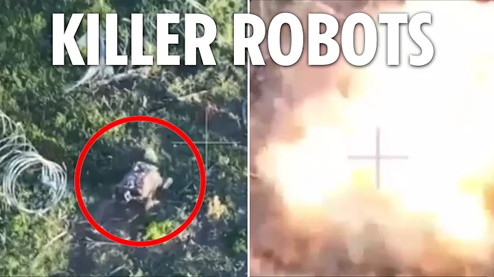 Putin unleashes kamikaze robots as Ukraine blasts Russian advance with howitzers and drones - DayDayNews