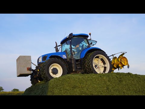2025 | New Holland T6070 | Pitwork | Grass silage | van Engelen Nunspeet | Gras inkuilen | Kuilwerk