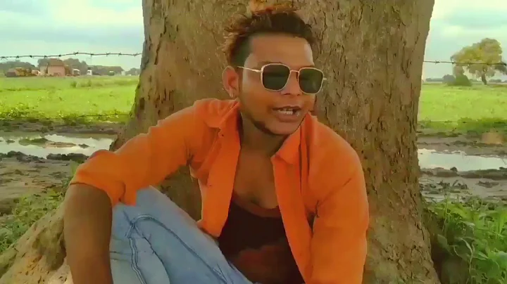 Funny videos hounted sort movies
