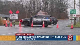 Man dies after apparent hit-and-run in North Branford