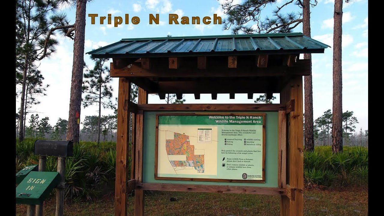 Triple N Ranch YouTube