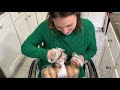 How i open a plastic package of donuts with paralyzed hands