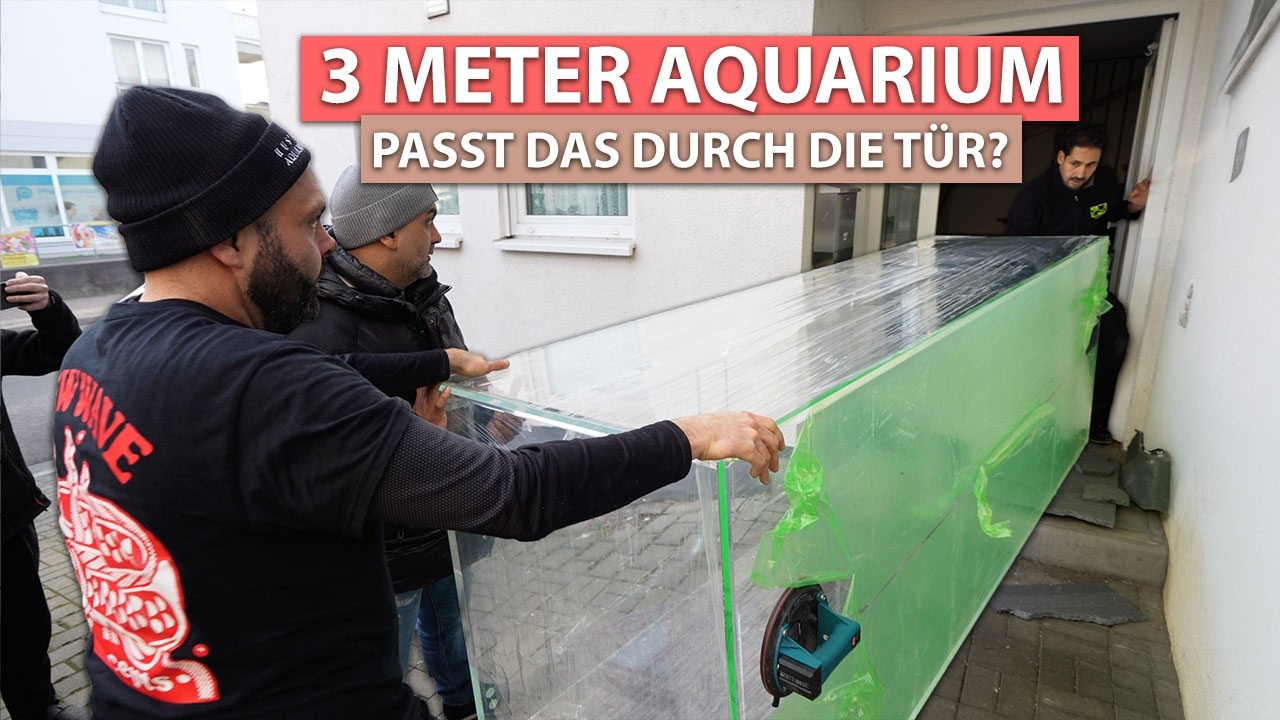 AUSLIEFERUNG 2400 LITER Meerwasseraquarium - Kunde freut sich!