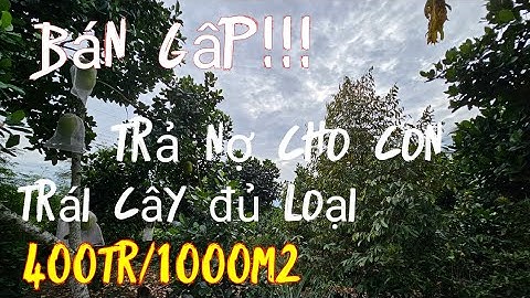 Chủ kẹt ngân hàng bán gấp vườn trái cây trả nợ cho con ở Tân phú đồng nai.