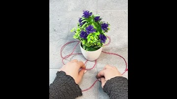 Try This Flower Hack - #shorts #lifehacks #diy #homerenovation #homerenovation #diyhacks #flowers