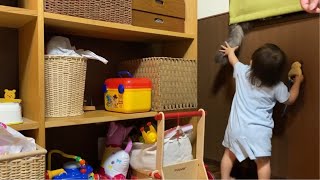 隠れんぼをする猫　ノルウェージャンフォレストキャットA cat playing hide-and-seek.Norwegian Forest Cat.