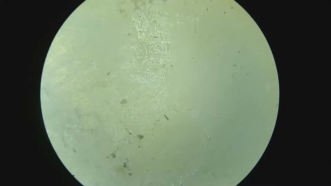 Методы заработка на usb Flash & Dongle а также цифровые подписи