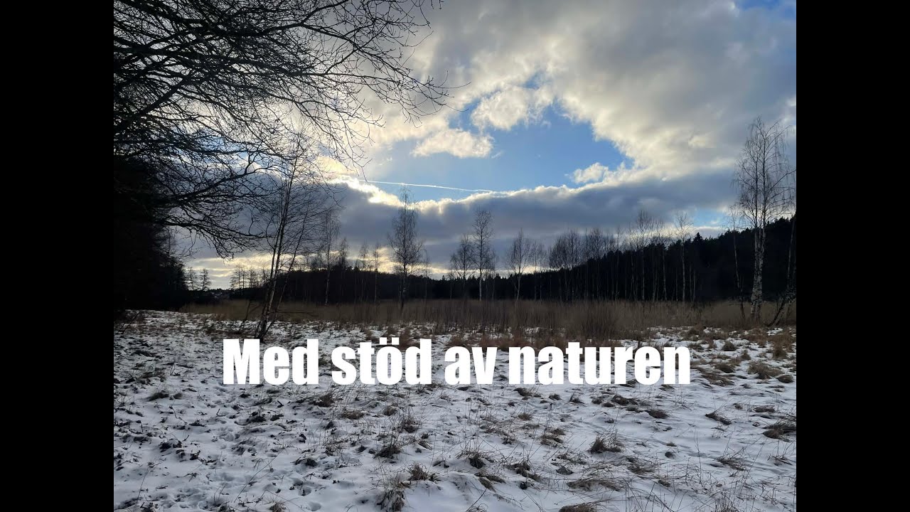 Jag arbetstränar igen - med stöd av tid, tystnad och naturen