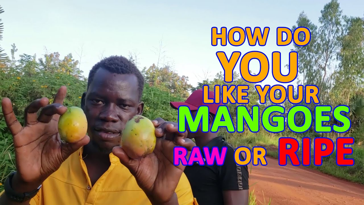 How do you like your mangoes Raw or Ripe - YouTube